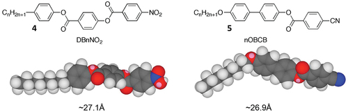 Figure 4. (Colour online) Homologous series of materials that possess Antiphases. Molecular modelling was performed using ChemDraw 3DTM.