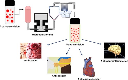 Figure 3 Microfluidized nanoemulsion applications in the treatment of various chronic diseases.