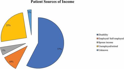 Figure 2. Patient sources of income (n = 40).