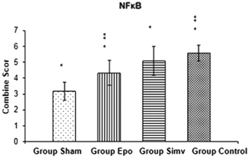 Figure 3. The effect of Epo and Simv on NFκB expression. *p < 0.01 group sham versus group Epo, group Simv and group control, **p  <  0.01 group control versus group Epo.