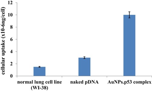 Figure 5 Cellular uptake and expression of free pDNA and AuNP-p53 in lung cancer cells (A549) in comparison to normal gene expression exhibited by healthy lung cells (WI 38).