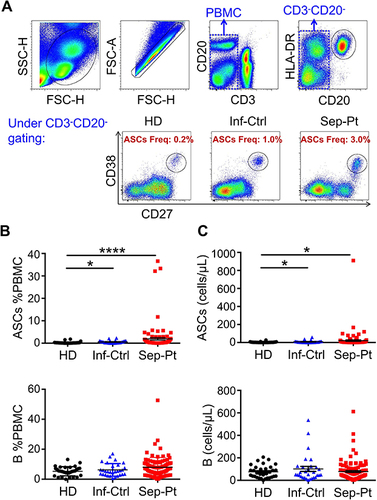 Figure 1 Circulating antibody-secreting cells (ASCs) increase in elderly septic patients. (A) Representative flow plots of CD27hiCD38hi ASCs among HD (healthy donors), Inf-Ctrl (infectious controls) and Sep-Pt (septic patients) groups. ASCs Freq, ASCs Freq of PBMC. (B and C) Quantification of ASCs %PBMC and ASCs (B cells as control) among HD (n = 32), Inf-Ctrl (n = 30) and Sep-Pt (n = 103) groups showing ASCs are increased in elderly Sep-Pt compared to HD and Inf-Ctrl groups. *p < 0.05; ****p < 0.0001 by Dunn’s test with multiple comparison correction. Error bars represent standard deviation.