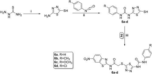 Scheme 2. Synthesis of benzothiazole/1,3,4-thiadiazole-aryl urea hybrids 6a–d; reagents and conditions: (i) CS2, EtOH, reflux overnight; (ii) CH3CN, reflux overnight; and (iii) acetone, K2CO3, reflux overnight.