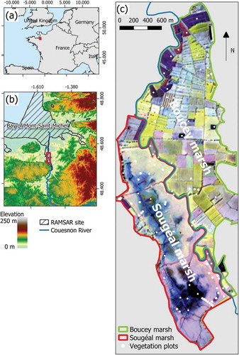 Figure 1. Location of the study site (a and b) and vegetation plots (c). The color composite is produced from the SPOT-7 pan-sharpened band 4 (blue: 21 April 2017, green: 9 May 2017, red: 17 June 2017)