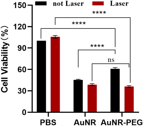 Figure 18. Photothermal effect of AuNR-PEG and AuNR to 4T1 cells after 24 h incubation in vitro (n = 3, ****p < 0.0001; ns, no significant difference).