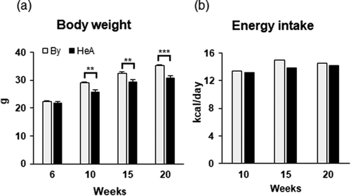 Figure 4. Changes of body weight and energy intake. (a) Body weight at 6, 10, 15, and 20 weeks. Male BALB/cBy (By) and BALB/cHeA (HeA) mice were fed normal chow diet under ad libitum conditions. Values are means ± SEM (n=9 for By mice, n=7 for the HeA mice). **P < 0.01 and ***P < 0.001 vs. the By mice. (b) Energy intake at 10, 15, and 20 weeks. Energy intake is shown as kcal/day which is total values of each cage divided by the number of mice in the same cage (n=7).
