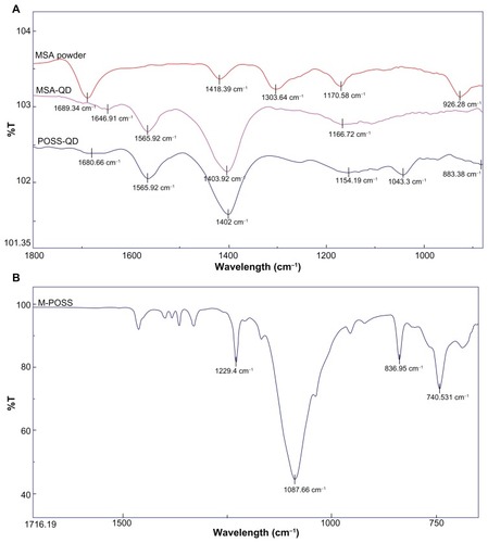 Figure 4 FTIR spectra of dry MSA powder, MSA-QDs, POSS-QDs and M-POSS.Notes: (A) POSS and MSA-QDs show common peaks at 1402 cm−1 and 1565 cm−1 from strong symmetric and asymmetric vibrations of the amino acid cysteine. However, POSS-QDs show a new peak at 1043 cm−1 that corresponds to stretching vibrations from Si-O-Si bonds in POSS; (B) M-POSS demonstrates a prominent peak at 1087 cm−1 from Si-O-Si bonds that shifts to a 1043 cm−1 on the POSS-QDs indicating that POSS has bonded to the QD surface.Abbreviations: FTIR, Fourier transform infrared spectroscopy; MSA, mercaptosuccinic acid; MSA-QDs, mercaptosuccinic acid quantum dots; POSS-QDs, polyhedral oligomeric silsesquioxane quantum dots; M-POSS, Mercaptopropylisobutyl-polyhedral oligomeric silsesquioxane; POSS, polyhedral oligomeric silsesquioxane; QDs, quantum dots.