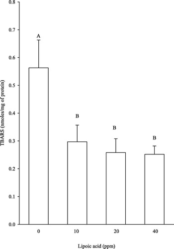 Fig. 1 Summary of thiobarbituric acid reactive substances (TBARS)±standard error of the mean recorded in liver samples from broilers being fed with a basal diet without lipoic acid (LA), or this basal diet supplemented with LA, during 42 days. Each bar represents the mathematical sum of each value of each column in Table 3 divided by 7; that is, the number of weekly experiments (each with six birds) performed throughout the 42 days. Means with different letters differ significantly (P<0.05) against the control.