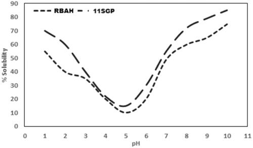 Figure 3. The pH-protein solubility curve of Alcalase-red kidney bean hydrolysate (RBAH) and 11S pea globulin (11SGP).
