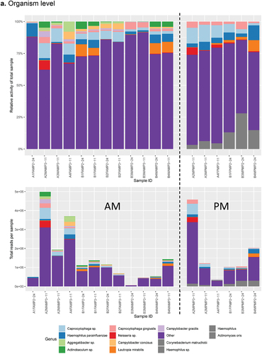 Figure 3. Combined histograms showing top 30 most abundant taxa and functions using the SAMSA2 pipeline on dental plaque bacterial RNA-Seq data a. organism level b. function level.