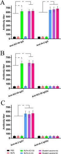 Figure 5. Analysis of serum antigen-specific antibodies among different treatment groups. At 20 weeks of age, serum from all mice (n = 15 per group) was quantified for anti-SCI-59 or anti-IA-2 antibodies and their subtypes, respectively. Data are shown as means ± SD. ** p < 0.01.