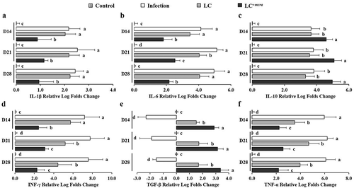 Figure 7. Differential expression levels of mice cecal cytokine genes. The relative log fold changes in expression of IL-1β (a), IL-6 (b), IL-10 (c), INF-γ (d), TGF-β (e), and TNF-α (f) genes from cecum tissue cells collected from control mice, mice under ST infection, mice pretreated with wild-type LC and challenged with ST, or mice pretreated with LC+mcra and challenged with ST were examined in triplicate. Different letters (‘a’ through ‘d’) at individual time point (day 14, 21, or 28) are significantly different (p < 0.05) among groups of control, infection, and infection following probiotic pretreatments.