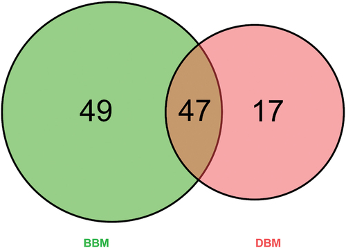 Figure 1. Venn diagram of total identified protein numbers in BBM and DBM.