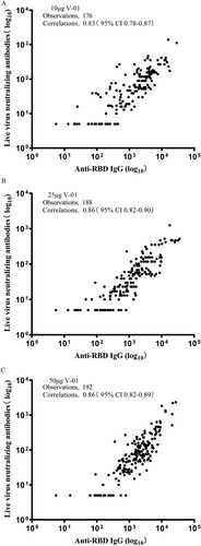 Figure 3. Correlation of live virus neutralizing antibodies and anti-RBD IgG binding antibody response. Scatter plots of log10 transformed live SARS-COV-2 neutralizing antibody responses and anti-RBD IgG binding antibody responses at day 21 (immediately before the second dose), day 28 (1 week after the second vaccination), day 35 and day 49 in the 10 (A), 25 (B), and 50 μg (C) V-01 group.