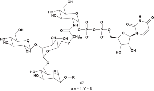 Scheme 33.  Bisubstrate for N-acetylglucosaminyltransferases GnT-V and GnT-IX.