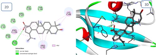 Figure 8. 2D and 3D representation of predicted binding mode of Batulinic acid with BMPIA receptor.