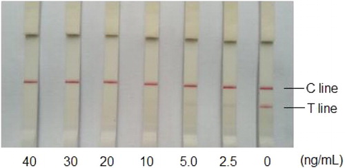 Figure 8. Validation of detection limit of the immunochromatographic strip for testing tadalafil standard.