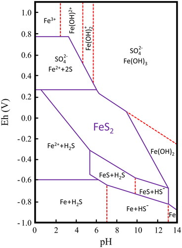 Figure 2. Eh-pH diagram for FeS2–H2O system at 25 °C and 10−5 M dissolved species [Citation63].