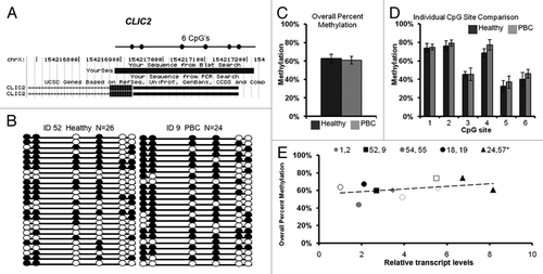 Figure 1 CLIC2 bisulfite sequencing for promoter methylation analysis. (A) Chromosomal sequence location of the region of the CLIC2 promoter that was analyzed by bisulfite sequencing. This region contains 6 CpG sites (circles) within a 279 bp region overlapping the transcription start site as shown. (B) Representative bisulfite sequencing data from a PBC discordant twin pair. Each circle represents a CpG site and each line represents an individually sequenced clone. Filled circles represent methylated sites (protected from bisulfite conversion) while unfilled circles represent unmethylated CpG sites (converted). (C) Overall percent methylation was determined by the total number methylated sites out of the total CpG sites in all clones and graphed as mean ± SEM for PBC (n = 6) versus healthy (n = 4) samples. (D) Percent methylation was calculated for each individual site within the CLIC2 promoter region for all clones and represented as mean ± SEM for PBC (n = 6) versus healthy (n = 4) samples. (E) Analysis of CLIC2 promoter methylation versus transcription for each individual sample. Each twin pair is represented by an individual symbol, as shown, with filled symbols representing PBC and open symbols representing healthy individuals of each twin pair. No significant correlation was observed between CLIC2 promoter methylation and transcription.