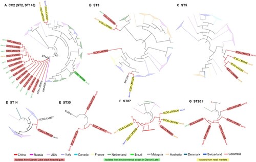 Figure 2. Phylogenetic trees of CCs/ STs based on SNP of core genes. Each CCs/ STs tree was analyzed using Maximum Likelihood method with 1000 bootstrap replicates implemented in the MEGA. (A) CC2 phylogenetic tree, VIMVR081 was used as reference strain. (B) ST3 phylogenetic tree, R2-502 was reference strain. (C) ST5 phylogenetic tree, J2-064 was reference strain. (D) ST14 phylogenetic tree, NRRL B-33805 was reference strain. (E) ST35 phylogenetic tree, EGD-e was reference strain. (F) ST87 phylogenetic tree, ICDC-LM188 was reference strain. (G) ST201 phylogenetic tree, M7 was reference strain. Each colour of node denotes the country which strains comes from. And isolates from black-headed gull feces, environmental swabs in Dianchi Lake and retail markets were shaded in red, green and yellow label background respectively. And the notes beside isolates represent the isolate date. Mar16, March 2016; Jan17, January 2017; Nov17, November 2017; Jan18, January 2018.