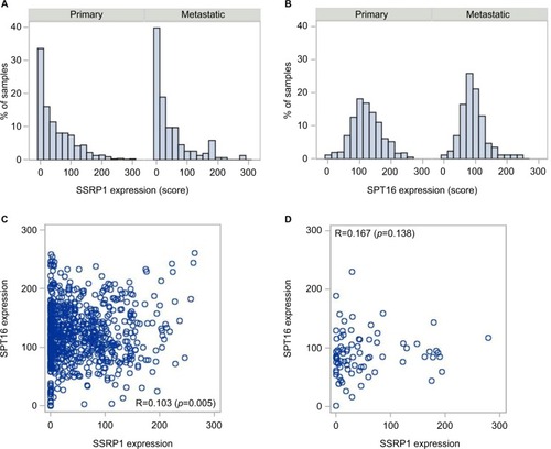 Figure 1 Distribution of SSRP1 and SPT16 IHC scores of primary and metastatic samples of BrCa patients. Histograms of SSRP1 scores (A) and SPT16 scores (B) of primary and metastatic samples. Correlations between SPT16 and SSRP1 scores of primary (C) and metastatic (D) samples are shown by dot plots.