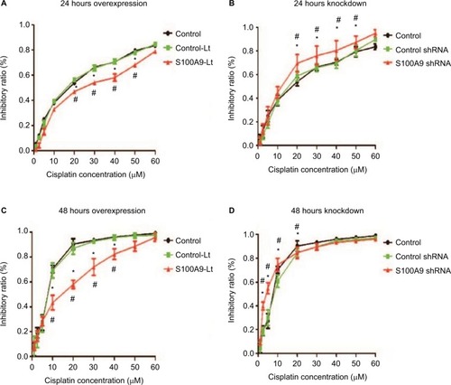 Figure 3 Effect of S100A9 on the sensitivity of SiHa cells to cisplatin.Notes: (A and B) S100A9 overexpression and knockdown SiHa cells treated with cisplatin for 24 hours. (C and D) S100A9 overexpression and knockdown SiHa cells treated with cisplatin for 48 hours. Data are mean ± SD from triplicate experiments. *Compared with control group, P<0.05. #Compared with negative control group (control-Lt or control shRNA group) P<0.05.Abbreviations: control-Lt, control lentivirus; S100A9-Lt, S100A9 lentivirus.