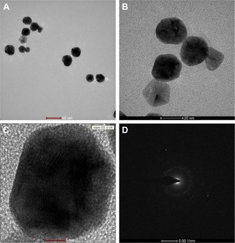 Figure 2 HR-TEM images of synthesized KC-GNs.Notes: (A–C) Morphology of the synthesized KC-GNs was confirmed by low- and high-magnification images and HR-TEM images. (D) The SAED pattern of the synthesized KC-GNs was obtained by HR-TEM.Abbreviations: HR-TEM, high-resolution transmission electron microscopy; KC-GN, Kalopanacis Cortex extract–gold nanoparticle; SAED, selected area electron diffraction.