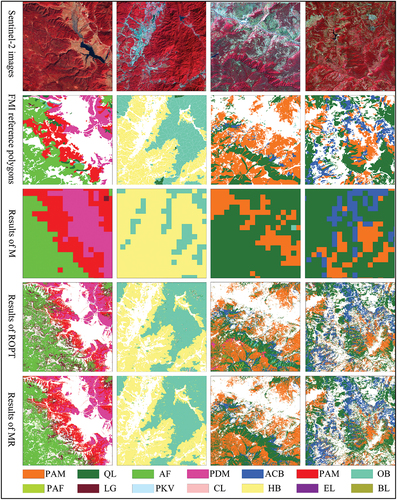 Figure 13. The spatial details of classification results in forest stand species. (a) Original image, (b) the Forest Management Inventory data, (c) M classification, (d) ROPT classification, and (e) MR classification.