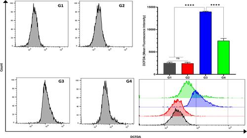 Figure 9 Quantitative analysis of garlic extract effects on Trastuzumab-induced ROS changes in the liver tissues by flow cytometry. The levels of 2ʹ,7ʹ-dichlorofluorescein diacetate (DCFDA) cellular reactive oxygen species (ROS) significantly increase in G3 [14433.3 mean fluorescent index (MFI)] and significantly decrease (7126.5 MFI) in G4 after garlic administration. nsNo significance between G1 vs G2, ****Significance difference G1, G2 vs G3, and G3 vs G4 (p<0.001).