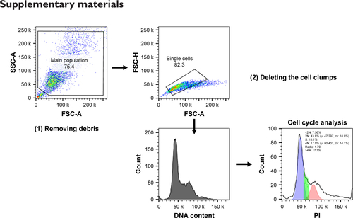 Figure S1 Identification and gating of single cells by standard biparametric dot plot.Notes: (1) The main population of cells was separated from possible noises (SSC-A vs FSC-A), then (2) single cells were selected using FSC-H vs FSC-A plot. Plotting cell count vs DNA content (the PI intensity) showed atypical cell cycle in control group. The population of the cells colored in blue are in G1 phase, green is showing cells in synthesis phase, and red represents cells in G2 phase.Abbreviations: FSC-A, forward scatter area; FSC-H, forward scatter height; PI, propidium iodide; SSC-A, side scatter area.