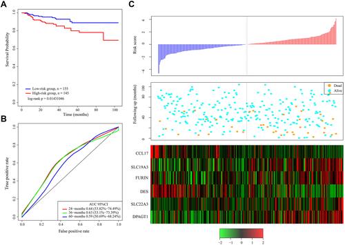 Figure 4 (A) Kaplan–Meier survival curve of patients stratified according to the 6-gene signature in independent validation dataset. (B) ROC curve and AUC of the 6-gene signature. (C) Risk score, survival period and gene expression level.