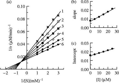 Figure 7.  Determination of the inhibitory type and inhibition constants of cefodizime on mushroom tyrosinase. (a) Lineweaver-Burk plots of the diphenolase activity of mushroom tyrosinase inhibited by cefodizime. The concentrations of cefodizime for curves 1–6 were 0, 0.005, 0.01, 0.015, 0.02 and 0.025 mM respectively. (b) The plot of the slope versus the concentration of cefodizime. (c) The plot of the intercept versus the concentration of cefodizime.