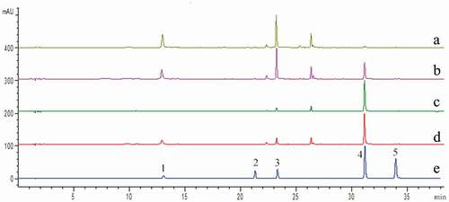 Figure 1. HPLC chromatograms of phenolic compounds at 350 nm