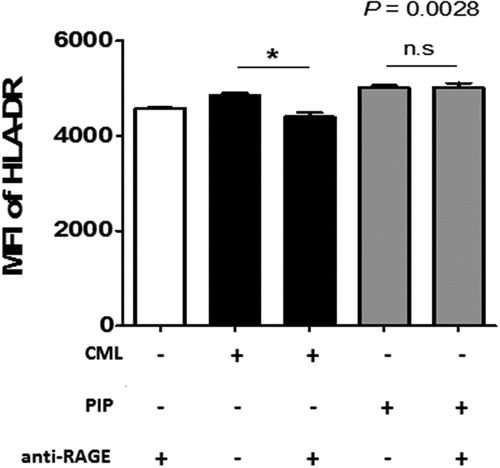 Figure 8. Blocking effect of anti-RAGE Ab on DC maturation. Anti-RAGE Ab (1 µg/ml) was pre-cultured with immature DCs for 1 h before adding 500 ng/ml recombinant PIP. The maturation of immature DCs was assessed by FACS analysis of HLA-DR expression on DC surfaces. *p < 0.05. Results are from biological replicate experiments. Error bars indicate means ± SD