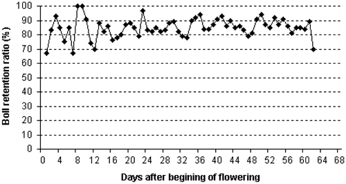 Figure 4. Daily boll retention ratio during the production stage (62 days) in the second (II) for the Egyptian cotton cultivar Giza 75 (Gossypium barbadense L.) grown in uniform field trial at the experimental farm of the Agricultural Research Centre, Giza (30° N, 31°: 28′ E at an altitude 19 m), Egypt.