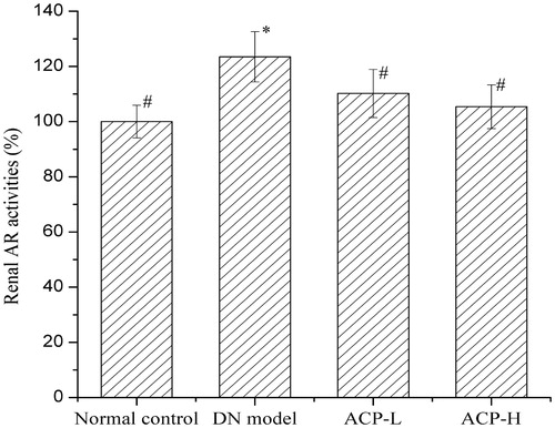 Figure 3. Effects of ACP on renal AR activities in DN rats *p < 0.05 compared with the normal control group; #p < 0.05 compared with the DN group.