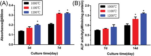 Figure 9. (A) Quantitative analysis of the proliferation of rBMSCs cultured on β-Ca2SiO4 scaffolds for 3 and 7 days (n = 3); (B) ALP activity of rBMSCs cultured for 7 and 14 days on β-Ca2SiO4 scaffolds for 7 and 14 days (n = 3). (* indicates significant differences when compared to β-Ca2SiO4 scaffolds sintered at 1000 °C).