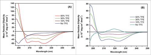 Figure 1. Effect of different TFE concentrations on the conformation of P1 and P2. Far-UV CD spectra of P1 (A) and P2 (B). Representative data are shown from 3 independent experiments performed in triplicate.