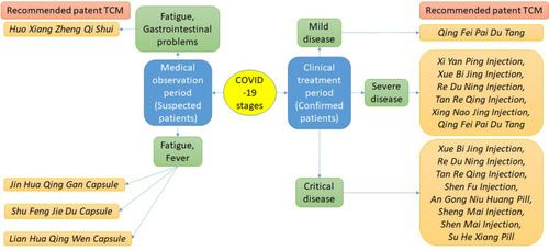 Figure 2 Recommended patent TCMs for COVID-19 treatment.