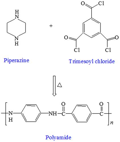 Figure 1. Structure of TFC polyamide prepared by interfacial polymerization of PIP with TMC.