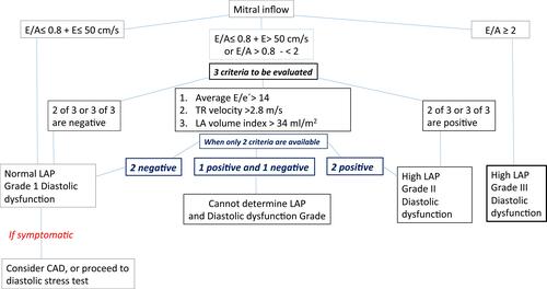 Figure 1 Algorithm for estimation of LV filling pressures and grading LV diastolic function in patients with myocardial disease and normal LVEF after consideration of clinical and other 2D data.Note: Data from Nagueh et al.Citation12