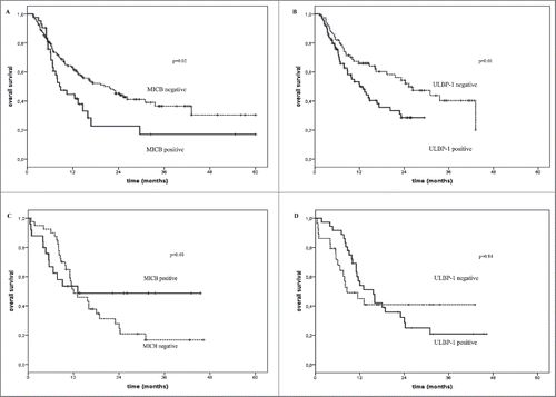 Figure 3. Overall survival of melanoma patients treated with immunotherapy in relation with the presence or not of sNKG2DLs in serum. Kaplan–Meier plots of overall survival of melanoma patients treated with immune checkpoint blockade agents (Panels A and B) or with standard or BRAFi therapies (Panels C and D) in relation with the detection (black line) or not (dotted line) at baseline of sMICB (Panels A and C) and sULBP-1 (Panels B and D). The baseline serum levels of sMICB (Panel A) and ULBP-1 (Panel B) could discriminate melanoma patients with long-term survival (median OS = 21.6 and 25.3 mo, p = 0.02 and 0.01, respectively) from poor survivors (median OS = 8.8 and 12.1 mo, respectively) for the cohort of patients treated with immune checkpoint blockade agents. Panels C and D show the absence of association between the serum levels of these ligands and OS in the control group of patients (median OS = 12.0 vs. 13.1 and 8.5 vs.15.6 and p = 0.4 and 0.85, respectively).