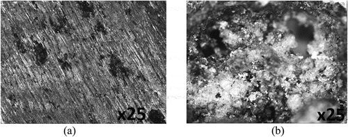 Figure 5. Surface morphology of (a) PCS before corrosion and (b) PCS after corrosion in 0.5 M H2SO4 solution.