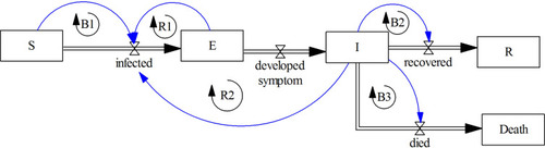 Figure 3 The fundamental feedback loops in SEIR model.