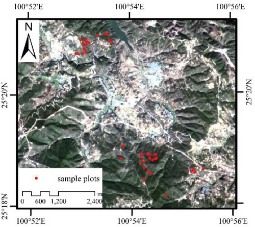 Figure 1. Sample plots (red dots) located at Xiangyun county in Yunnan province, SW of China (the image is GF-1 satellite image with 16 m resolution).