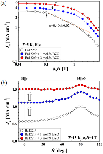 Figure 81. (a) Magnetic field dependence of Jc at 5 K for Ba-122:P, Ba-122:P + 1 mol% BZO and Ba-122:P + 3 mol% BZO films on MgO. A magnetic field was applied parallel to the c-axis. (b) The angular dependence of in-field Jc at 15 K, 1 T for the Ba-122:P, Ba-122:P + 1 mol% BZO and Ba-122:P + 3 mol% BZO films. Reprinted with permission from Macmillan Publishers Ltd: [Citation415], Copyright 2013.