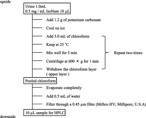 Fig. 1. Extraction method of Nam, 2-Py, 4-Py, and Nam N-oxide from urine samples.
