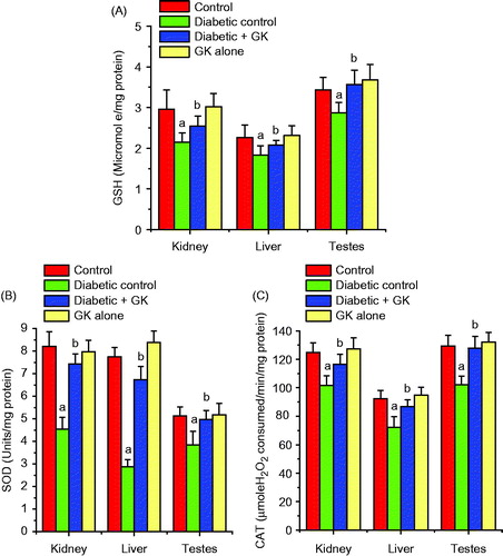 Figure 3. Effects of Garcinia kola seed on the GSH level and activities of SOD and CAT in control and STZ-induced diabetic rats. Each bar represents mean ± SD of 10 rats. (a) Values differ significantly from control (p < 0.05). (b) Values differ significantly from the diabetic control group (p < 0.05).