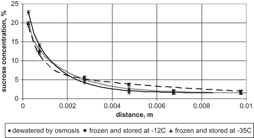 FIGURE 1 Sucrose concentration profiles for apple dewatered by osmosis at 30°C for 3 h, frozen, and stored at different temperatures for 1 month.