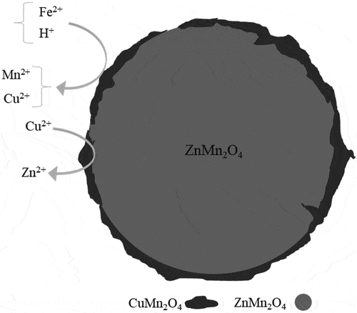 Figure 3. Effect of copper as a catalyst on Zn-Mn batteries bioleaching.